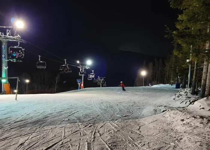 604 * Vrbno pod Pradědem